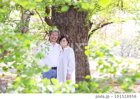 春を楽しむシニア夫婦、アベック、中高年、デイト、散歩 春を楽しむシニア夫婦、アベック、中高年、デイト、散歩 101528956