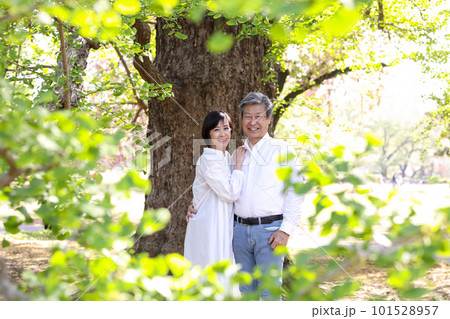 春を楽しむシニア夫婦、アベック、中高年、デイト、散歩 101528957
