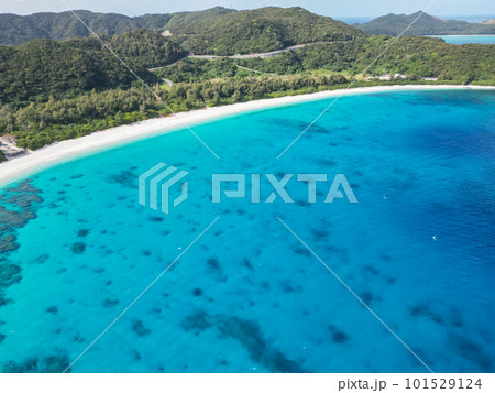 沖縄の美しい海 珊瑚礁の海に浮かぶ大量の透明なサンゴ礁 沖縄の美しい海 珊瑚礁の海に浮かぶ大量の透明なサンゴ礁 101529124