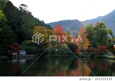 紅葉の湯布院 101529133