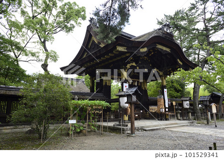 豊国神社 唐門と千成瓢箪 豊国神社 唐門と千成瓢箪 101529341