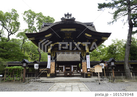 豊国神社 唐門と千成瓢箪 豊国神社 唐門と千成瓢箪 101529348