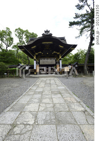 豊国神社　唐門と千成瓢箪 101529350