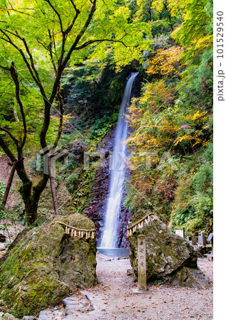 岐阜 養老の滝 岐阜 養老の滝 101529540