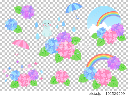Hydrangea in the rainy season and a cute illustration of a rainy day 101529999