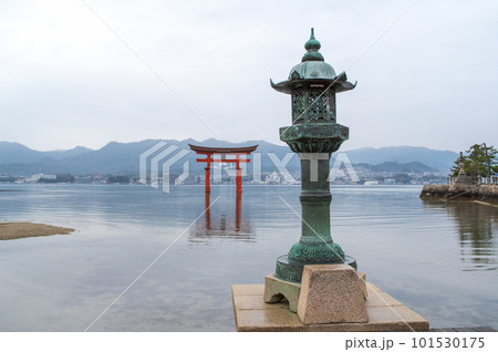 雨上がりの朝　宮島の大鳥居を望む　厳島神社　広島県 101530175