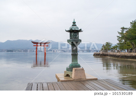 雨上がりの朝　宮島の大鳥居を望む　厳島神社　広島県 101530189