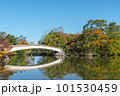 Reflection water lake in natural forest public park 101530459