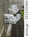 China oriental dragon stone on wall 101530460