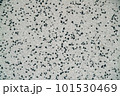 Black and white stone wall background 101530469