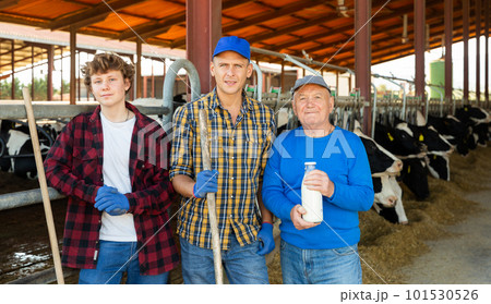 Family-owned livestock business - three farmers of different ages in barn Family-owned livestock business - three farmers of different ages in barn 101530526