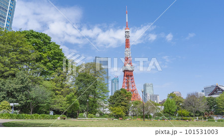 東京都港区|港区立芝公園から見る東京タワー 東京都港区|港区立芝公園から見る東京タワー 101531003