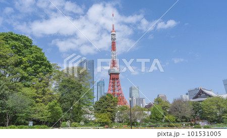 東京都港区｜港区立芝公園から見る東京タワー 101531005