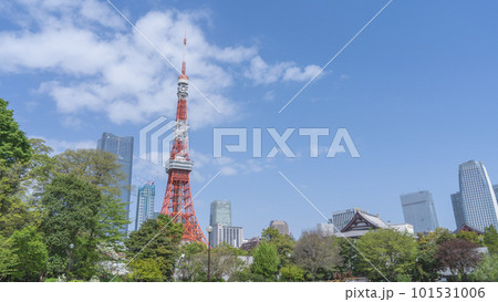 東京都港区｜港区立芝公園から見る東京タワー 101531006