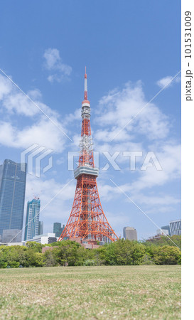 東京都港区|芝公園から見る東京タワー 東京都港区|芝公園から見る東京タワー 101531009