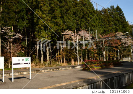 春の吉野駅 101531066