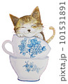水彩画、ティーカップで眠る子猫 101531891