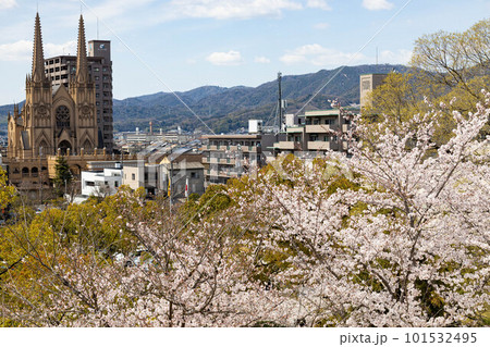 EOSR.広島福山、福山桜と教会。 101532495