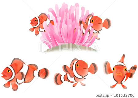 カクレクマノミのイラスト素材セット 101532706