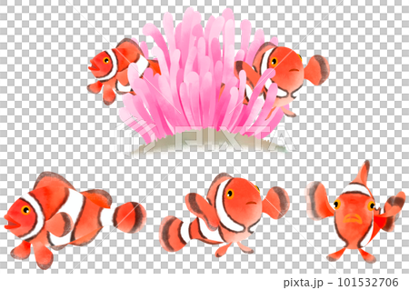 Clownfish illustration material set 101532706