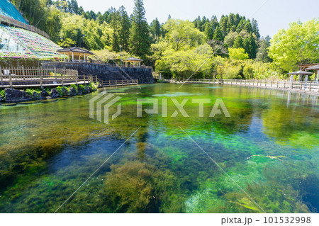《鹿児島県》霧島山麓丸池湧水 101532998
