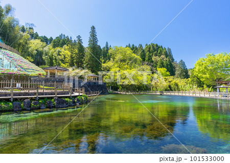 《鹿児島県》霧島山麓丸池湧水 101533000