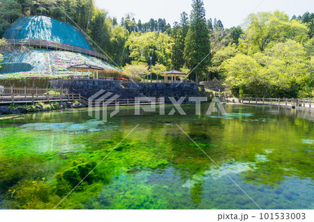 《鹿児島県》霧島山麓丸池湧水 《鹿児島県》霧島山麓丸池湧水 101533003