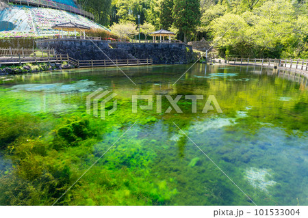 《鹿児島県》霧島山麓丸池湧水 101533004