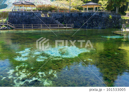 《鹿児島県》霧島山麓丸池湧水 101533005