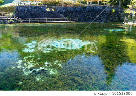 《鹿児島県》霧島山麓丸池湧水 《鹿児島県》霧島山麓丸池湧水 101533006