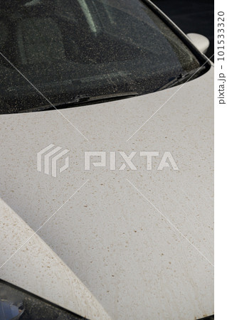 黄砂で汚れた車 101533320