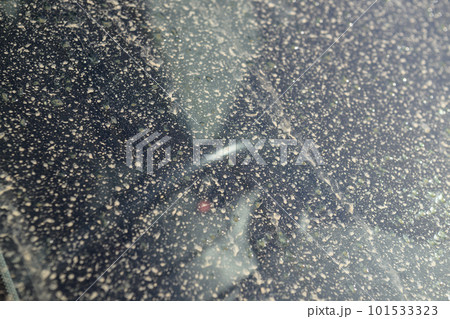 黄砂で汚れた車のガラス 101533323