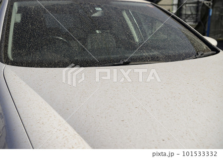 黄砂で汚れた車 101533332