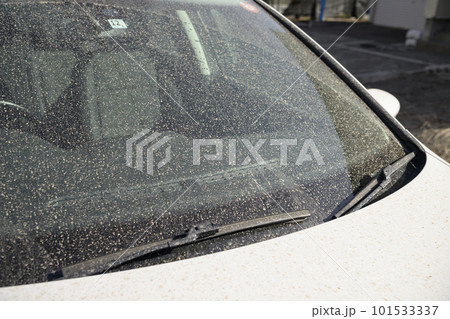 黄砂で汚れた車のガラス 黄砂で汚れた車のガラス 101533337