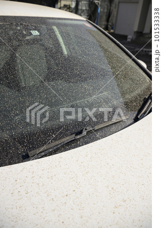 黄砂で汚れた車のガラス 黄砂で汚れた車のガラス 101533338