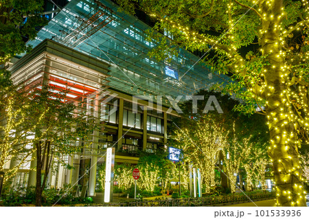 【東京の都市夜景】日本橋室町周辺のイルミネーション(コレド室町テラス) 【東京の都市夜景】日本橋室町周辺のイルミネーション(コレド室町テラス) 101533936