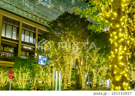 【東京の都市夜景】日本橋室町周辺のイルミネーション(コレド室町テラス) 【東京の都市夜景】日本橋室町周辺のイルミネーション(コレド室町テラス) 101533937