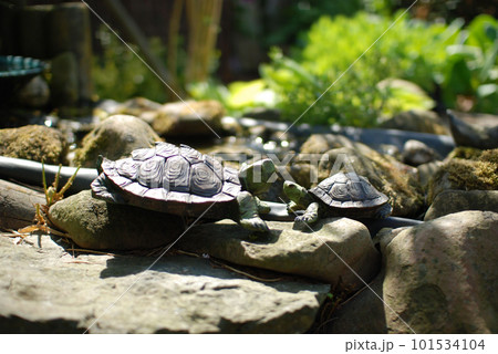 Closeup shot of turtle sculptures, garden decoration in Goslar, Germany Closeup shot of turtle sculptures, garden decoration in Goslar, Germany 101534104