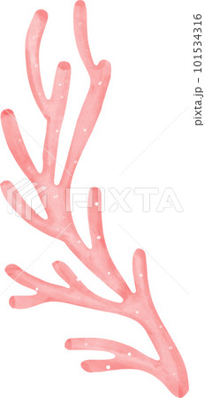 Cute watercolor colourful coral reef cartoon hand painting 101534316