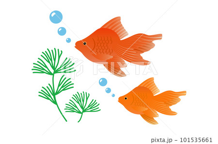 シンプルで使いやすい左向きの金魚のベクターイラスト素材単品_赤金 101535661