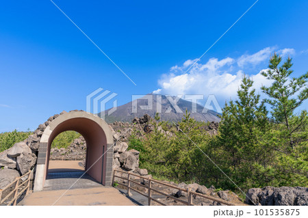 《鹿児島県》桜島　有村溶岩展望所・有村溶岩展望所からの風景 101535875