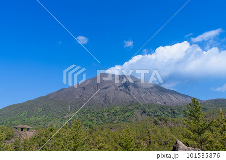 《鹿児島県》桜島　有村溶岩展望所・有村溶岩展望所からの風景 101535876