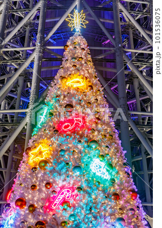 【東京の都市夜景】東京スカイツリーとクリスマスツリー 【東京の都市夜景】東京スカイツリーとクリスマスツリー 101536075