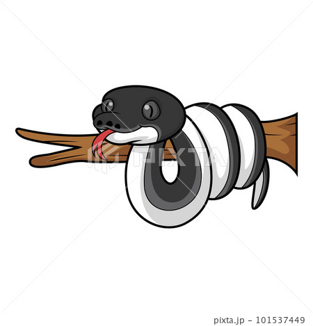 Cute albertisi snake cartoon on tree branch Cute albertisi snake cartoon on tree branch 101537449