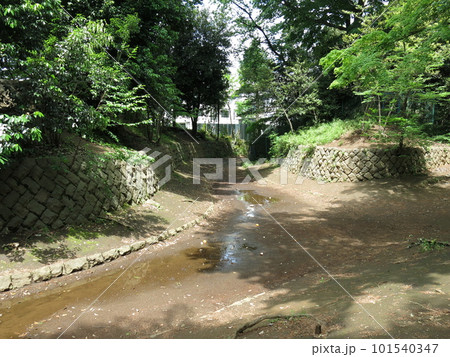 世田谷城阯公園(堀跡・土塁) 世田谷城阯公園(堀跡・土塁) 101540347