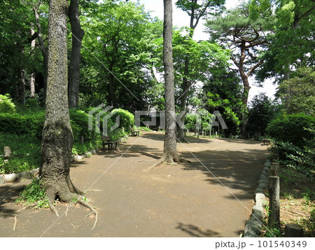 世田谷城阯公園(郭跡) 世田谷城阯公園(郭跡) 101540349