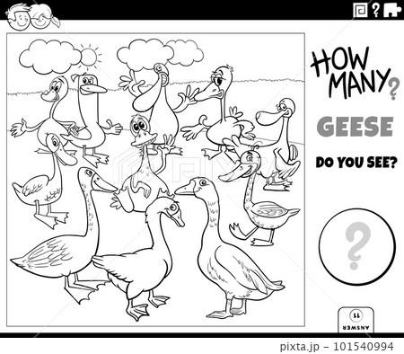 counting cartoon geese birds educational task coloring page counting cartoon geese birds educational task coloring page 101540994