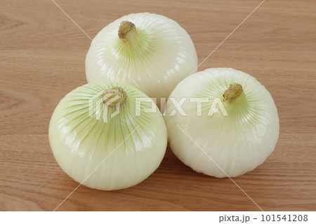 新玉ねぎ 101541208