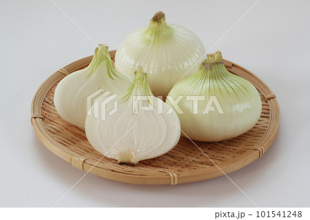 新玉ねぎ 101541248