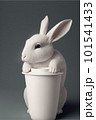 coffee mug mockup with rabbit. White coffee cup.  101541433